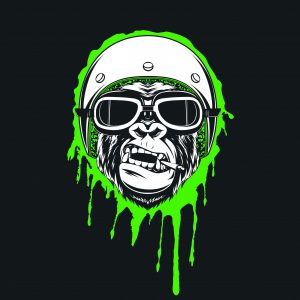 Logo Freeloader band